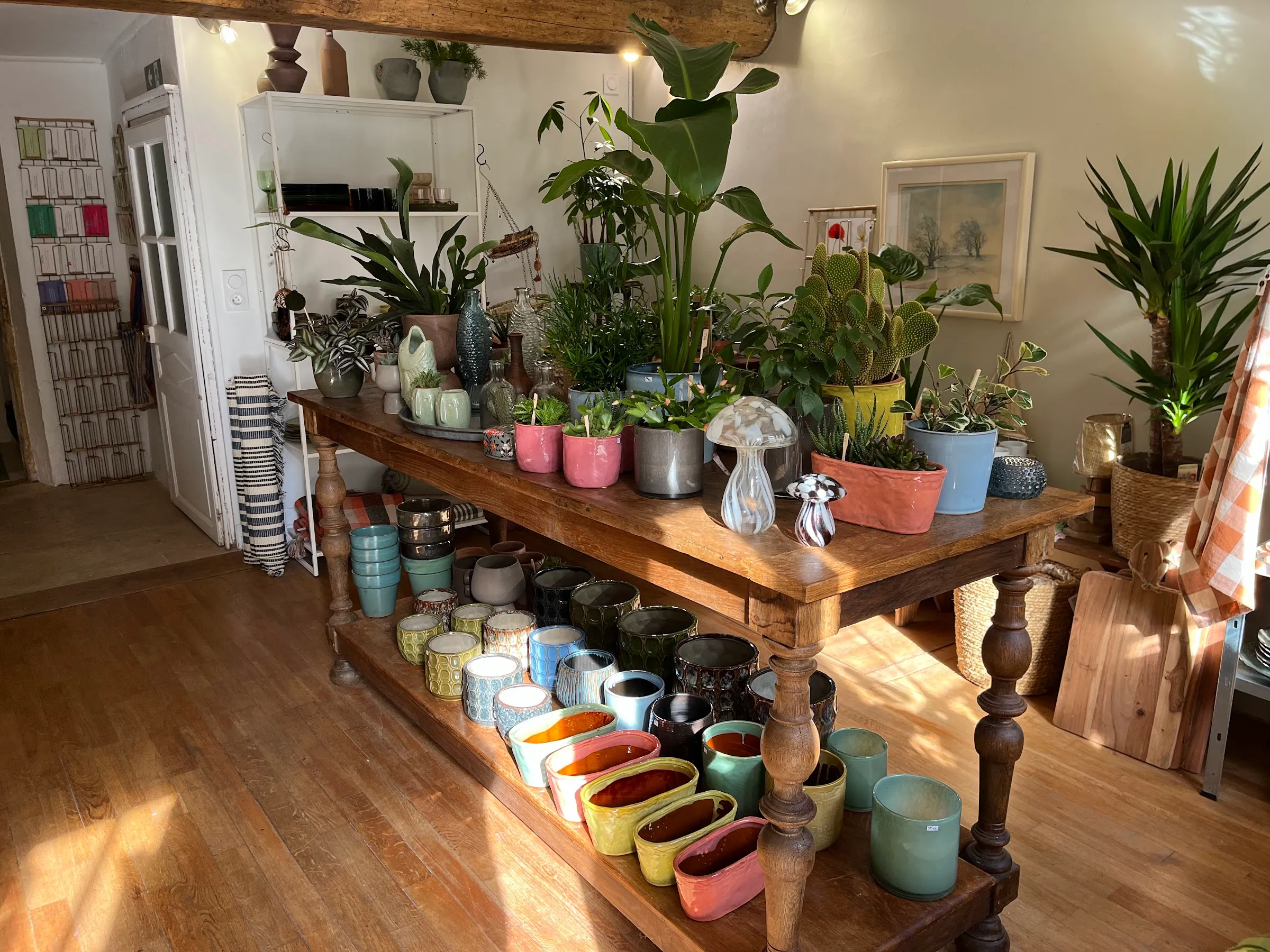 L'avant de la boutique — plantes, poteries et pots colorés sur la grande table en chêne