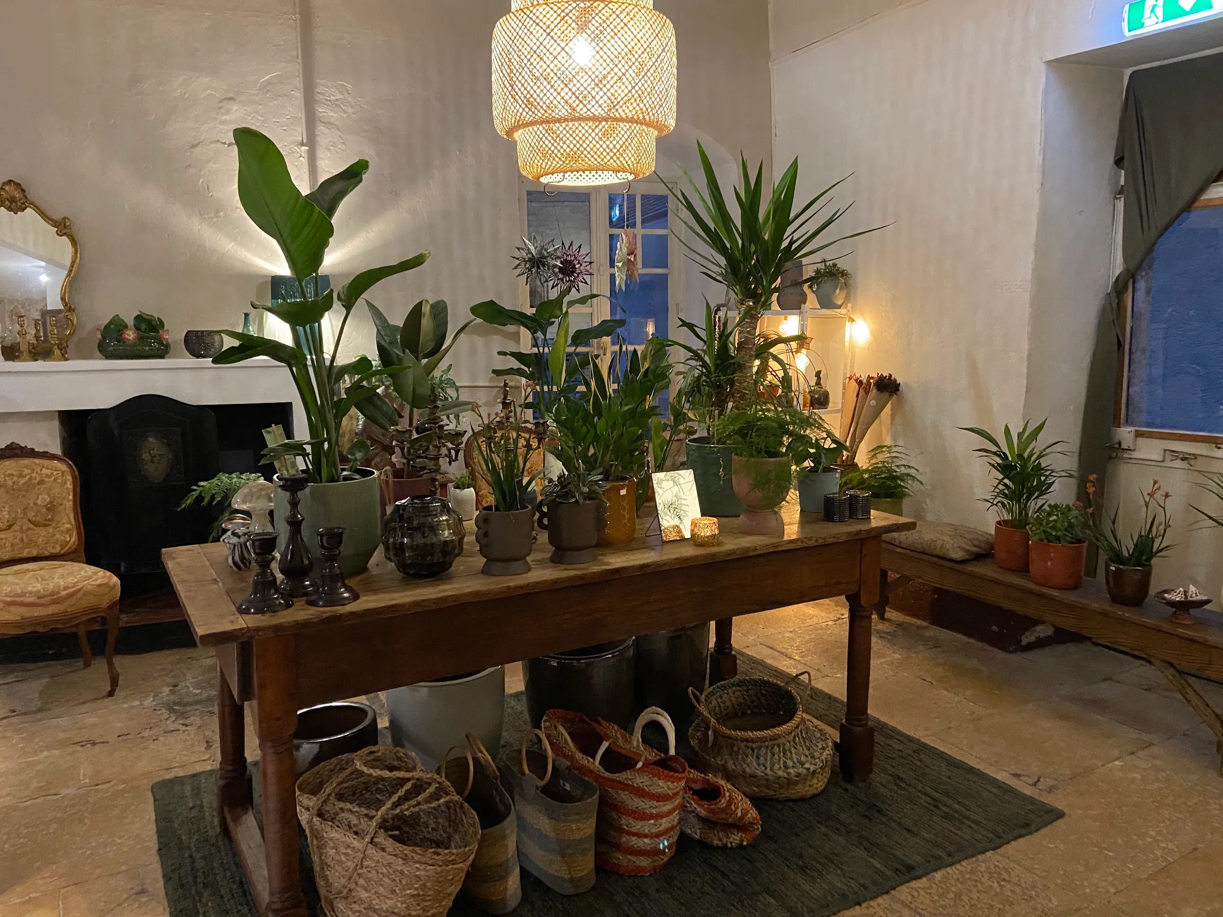 L'arrière de la boutique — plantes vertes, paniers et cheminée sous la lampe en rotin